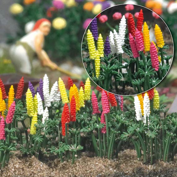 LUPINI ORNAMENTALI