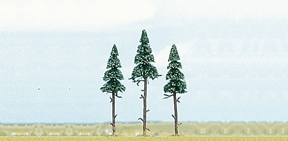 3 Pini