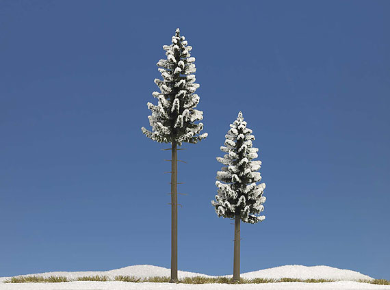 2 Alberi innevati