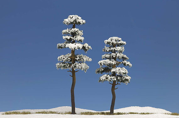 2 Alberi innevati