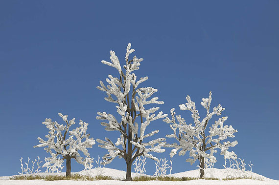 3 Alberi innevati
