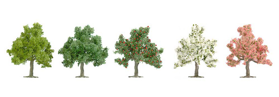 Set 64 ALBERI