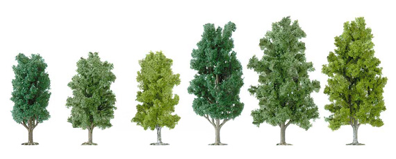 Set 36 ALBERI