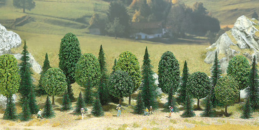 35 Alberi misti foresta
