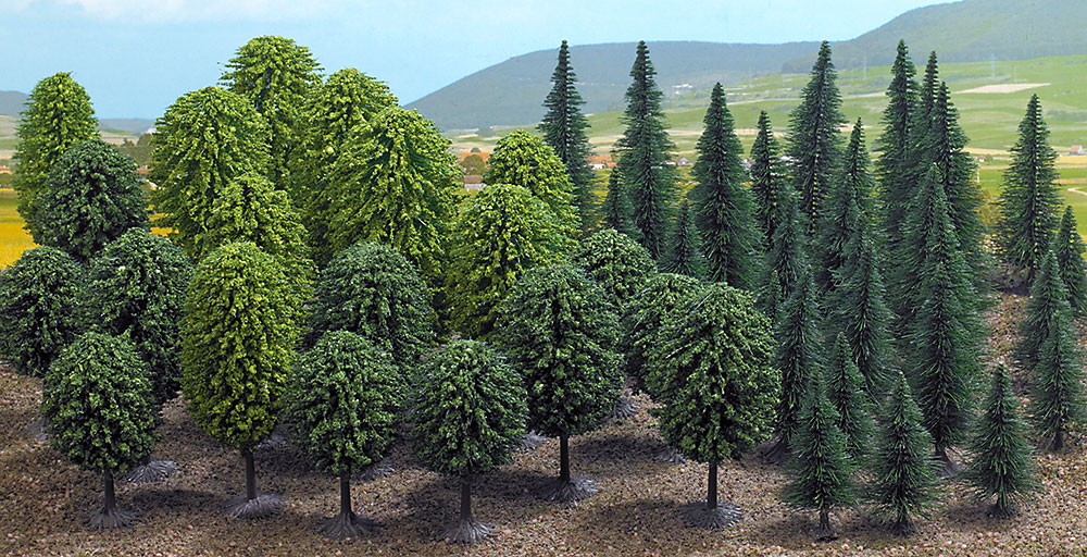50 Alberi misti foresta