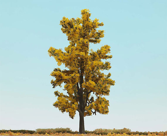 Albero in Autunno