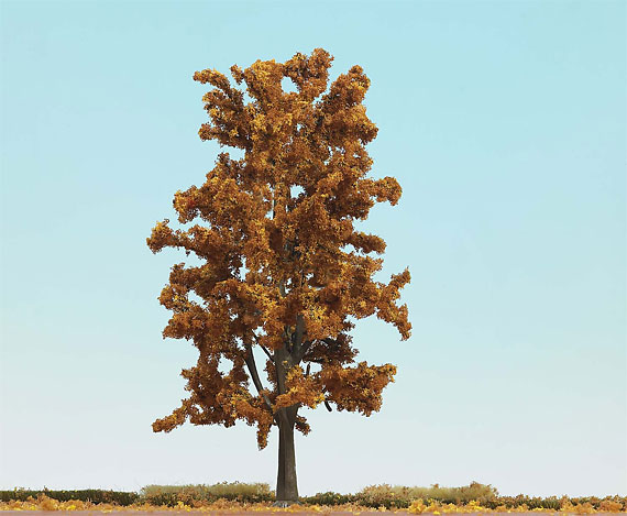 Albero in Autunno