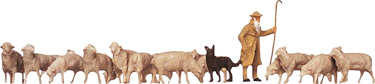 Pastore, cani, pecore