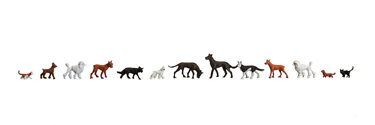 Cani e gatti