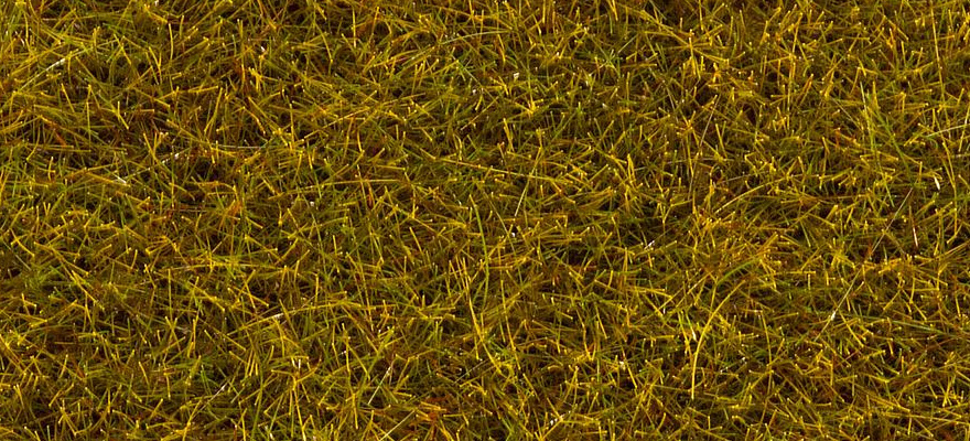 Fibre verde prato 80 g