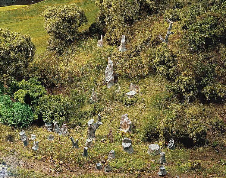 12 CEPPI DI ALBERI PREMIUM
