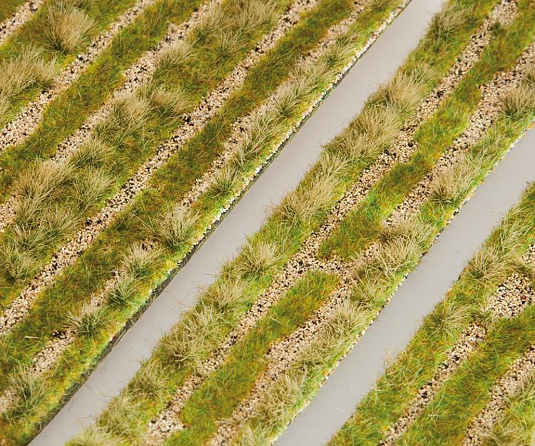 Segmento paesaggio PREMIUM , Sentiero di campagna