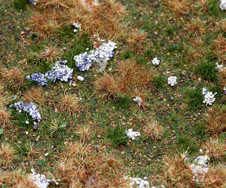 Segmento paesaggio PREMIUM , Terreno boscoso