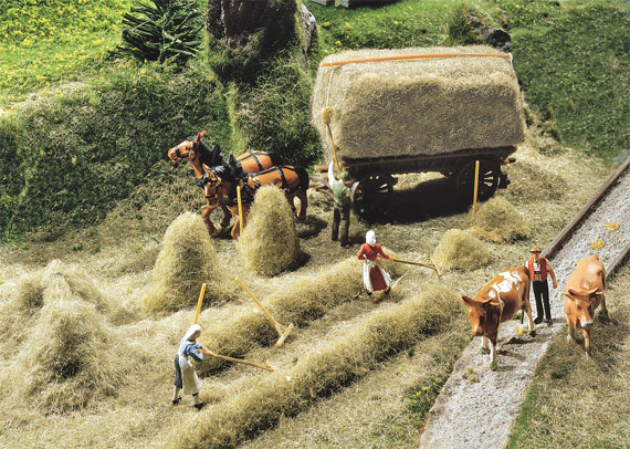 Raccolta del fieno
