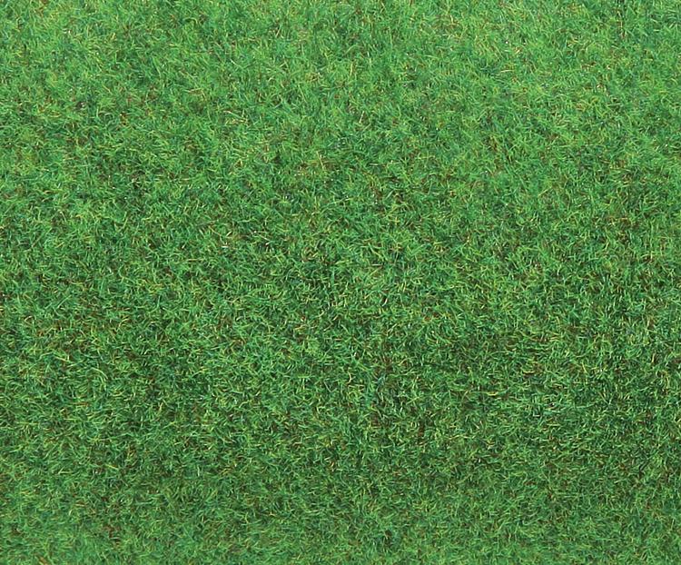 Tappeto erboso, verde chiaro