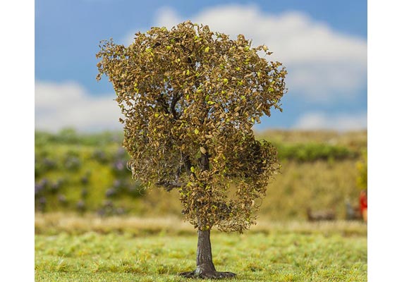 1 PREMIUM quercia