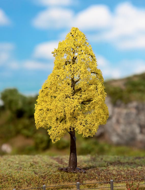 1 PREMIUM quercia in autunno