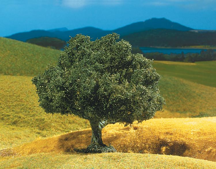 1 Leccio PREMIUM