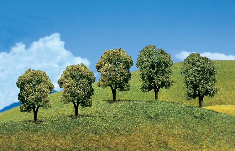 5 Latifoglia PREMIUM