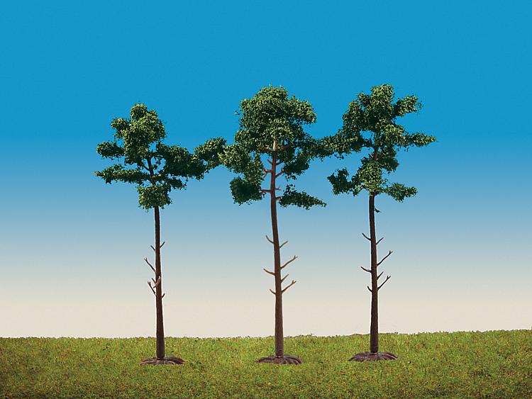 3 Pini silvestri Serie Top