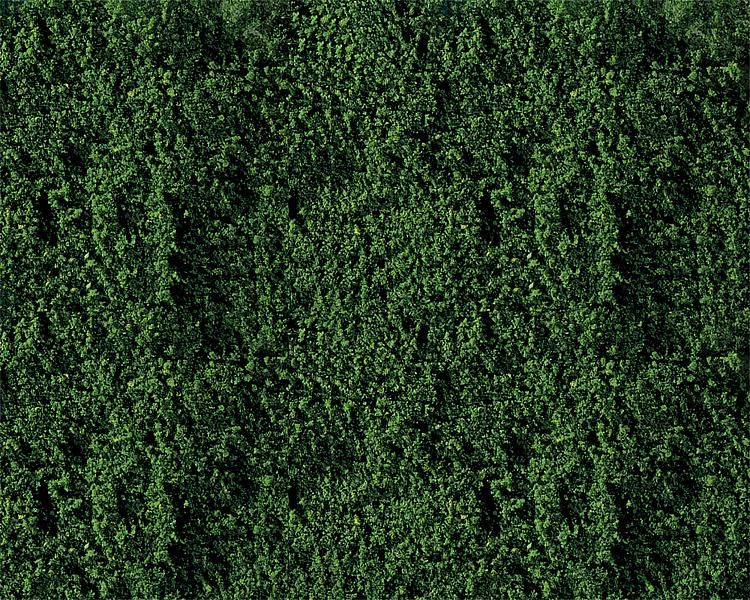 Fogliame, verde scuro