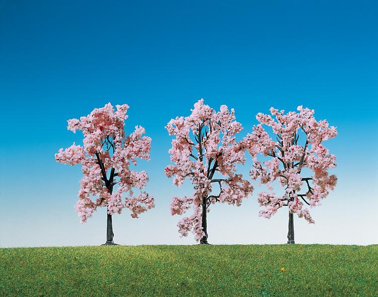3 ciliegi ornamentali