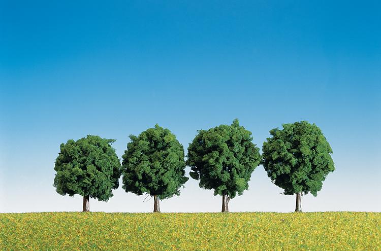 4 Latifoglie