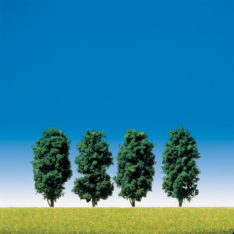 4 Latifoglie