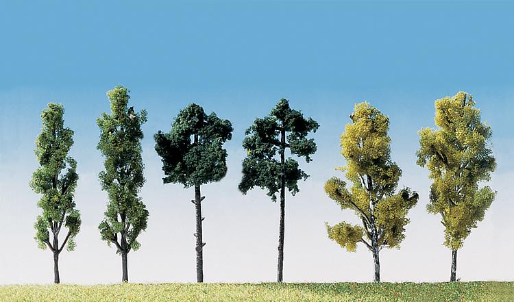 6 Alberi assortiti