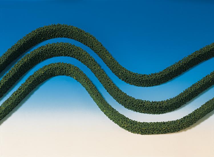 3 Siepi, verde