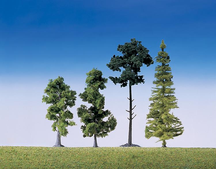15 Alberi da bosco misti
