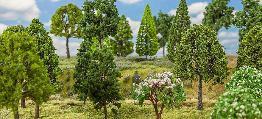 30 alberi