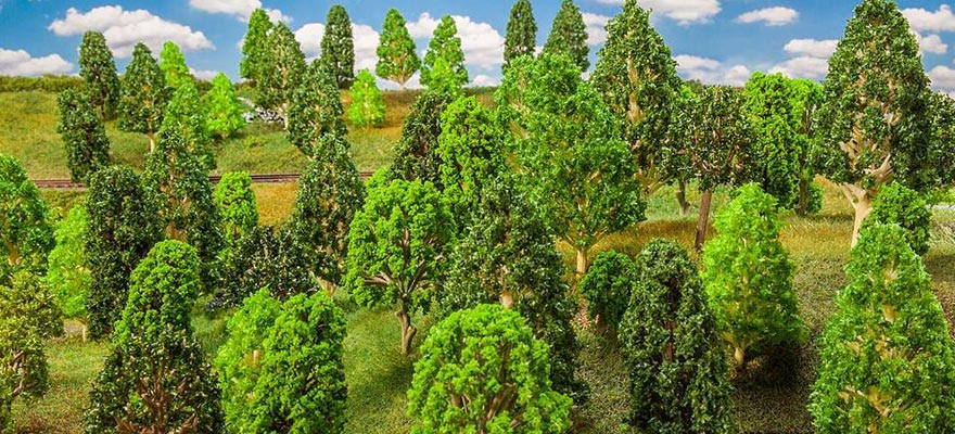 25 Alberi