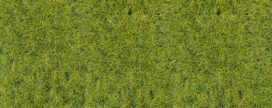 erba alta 28 x 14 cm