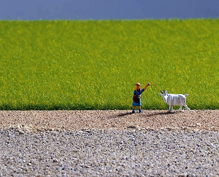 Erba alta verde chiaro