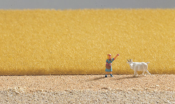 ERBA ALTA, GIALLO OCRA