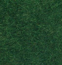 Erba Wild Grass Verde scuro, 50 g