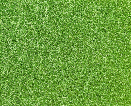MANTO ERBOSO VERDE