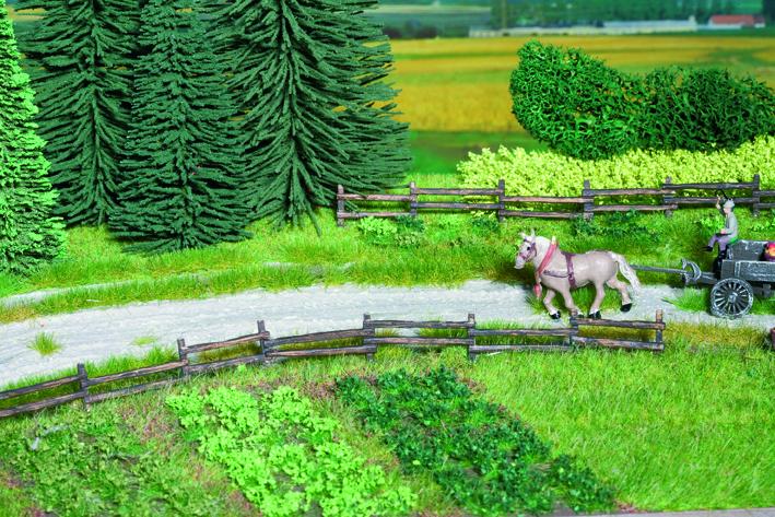 Verdure dell'orto