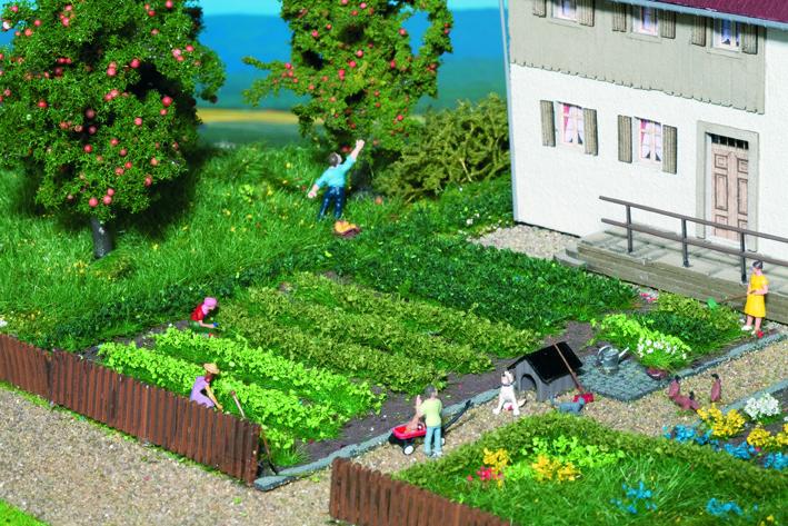Verdure assortite