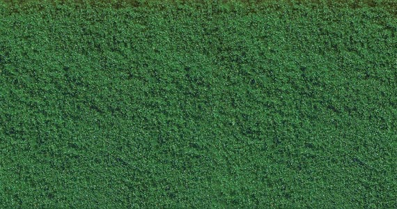 Fogliame verde medio 30gr