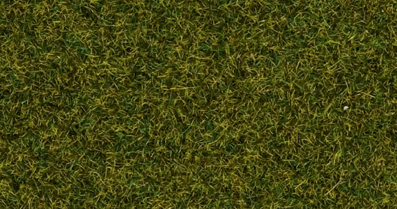Erba prato 1.5mm