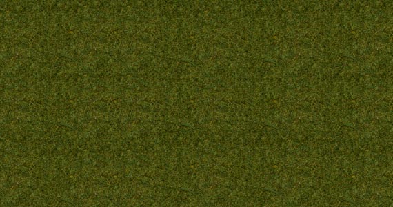Erba prato 2.5mm