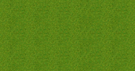 Erba ornamentale 2.5mm
