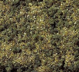 SOTTOBOSCO 20 g