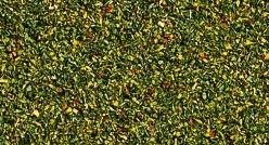 GRANULATO PRATO Estivo FIORITO 42 g