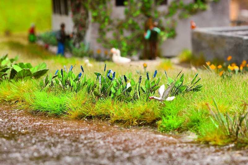 Laser-Cut piante acquatiche mini Pickerelweed