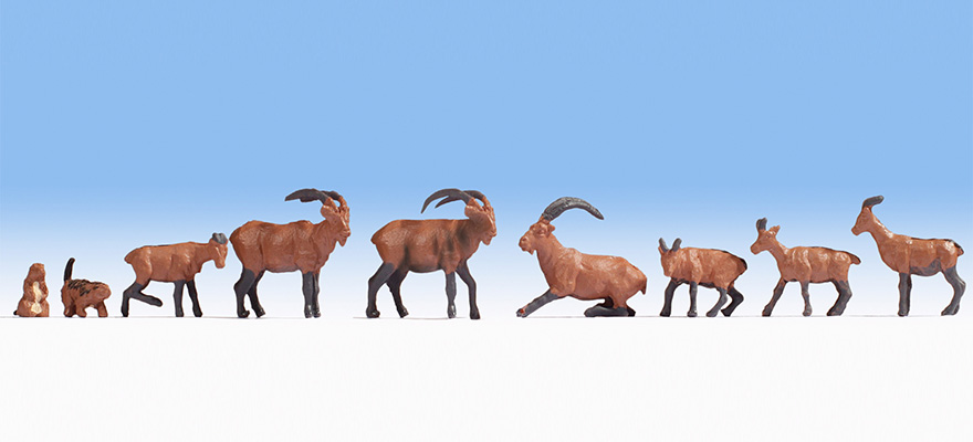 ANIMALI ALPINI