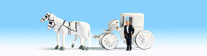 Matrimonio trasporto #