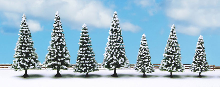 7 abeti innevati